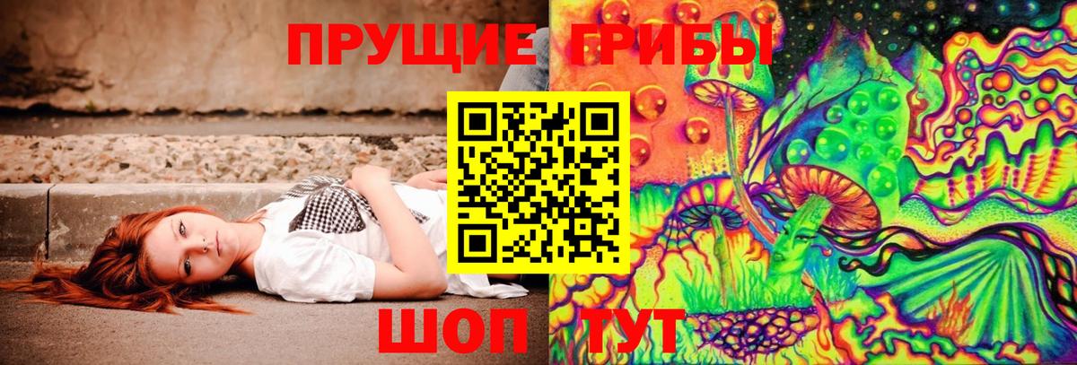 Галлюциногенные грибы Psilocybine cubensis  Псилоцибиновые грибы мицелий  Пугачёв  Вход с VPN 