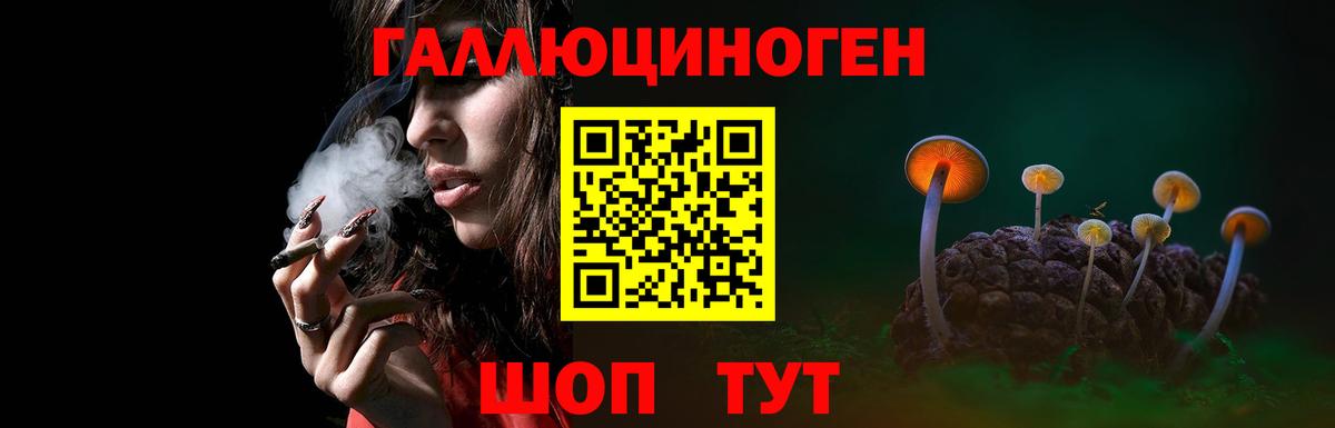 Псилоцибиновые грибы Cubensis Пугачёв