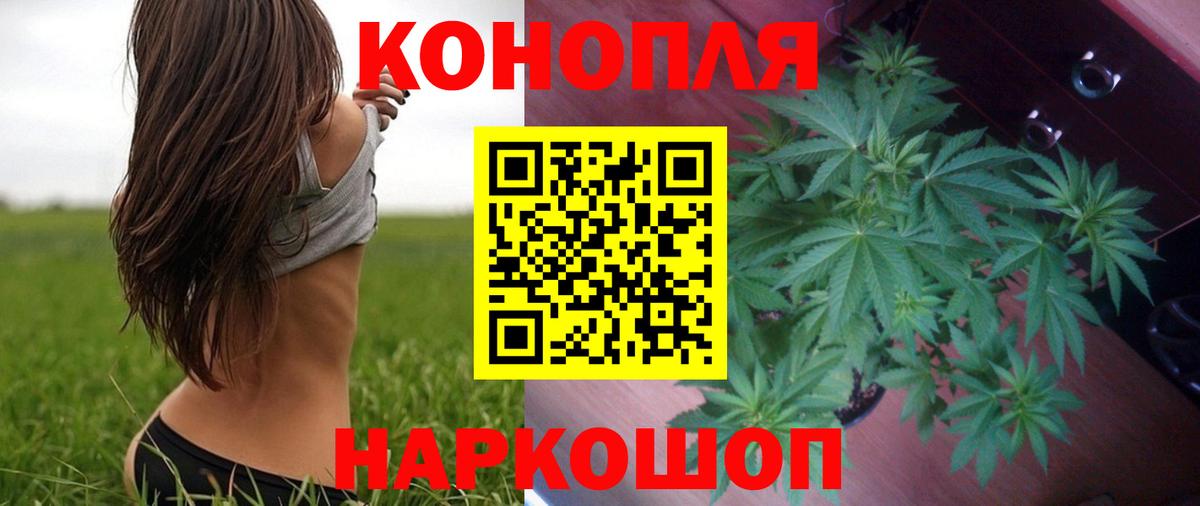 Канабис семена  Канабис индика  Вход с VPN  Марихуана Amnesia  Пугачёв 